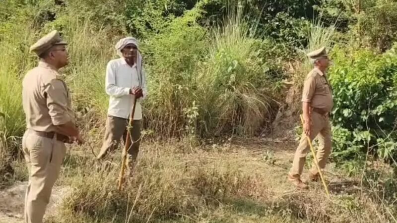 गाय पर जंगली जानवर का हमला वन विभाग ने पिंजरा लगाने की शुरू की तैयारी, ग्रामीणों को तेंदुए की आशंका