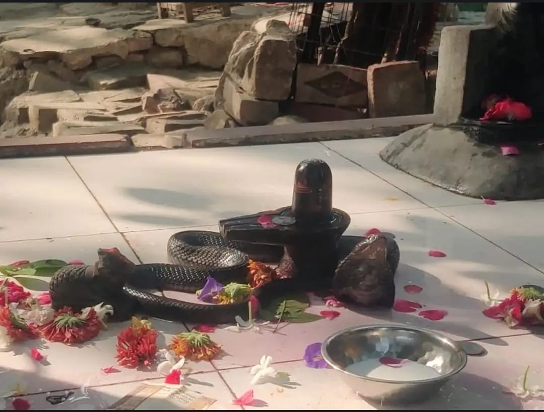 नैमिष तीर्थ में गंगा दशहरा पर अनोखा दृश्य शिवलिंग पर नाग देवता के दर्शन, हज़ारों श्रद्धालुओं ने किया स्नान और पूजन