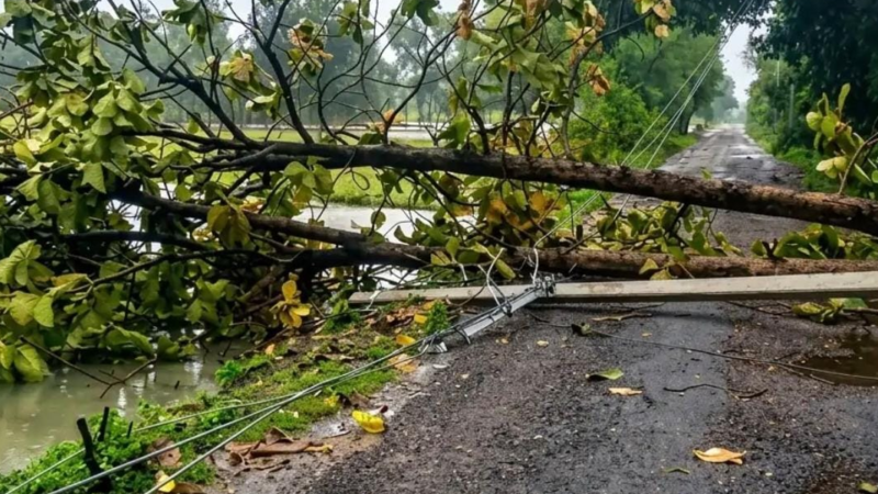 बिधनू में आंधी-बारिश का कहर, आधा दर्जन गांवों में पेड़ गिरे, बिजली व्यवस्था चरमराई