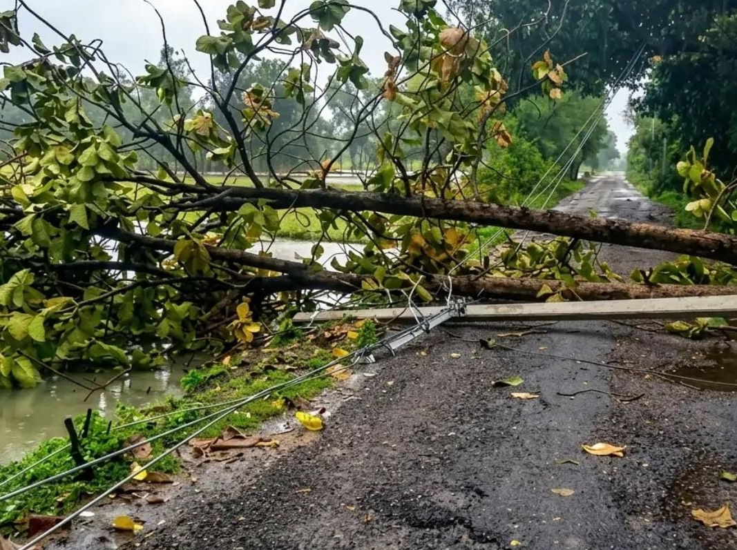 बिधनू में आंधी-बारिश का कहर, आधा दर्जन गांवों में पेड़ गिरे, बिजली व्यवस्था चरमराई