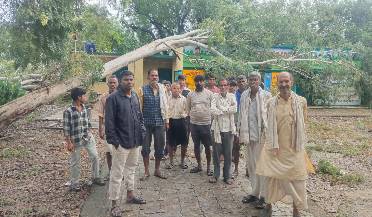 स्कूल की छत पर गिरा यूकेलिप्टस का पेड़, बड़ा हादसा टला