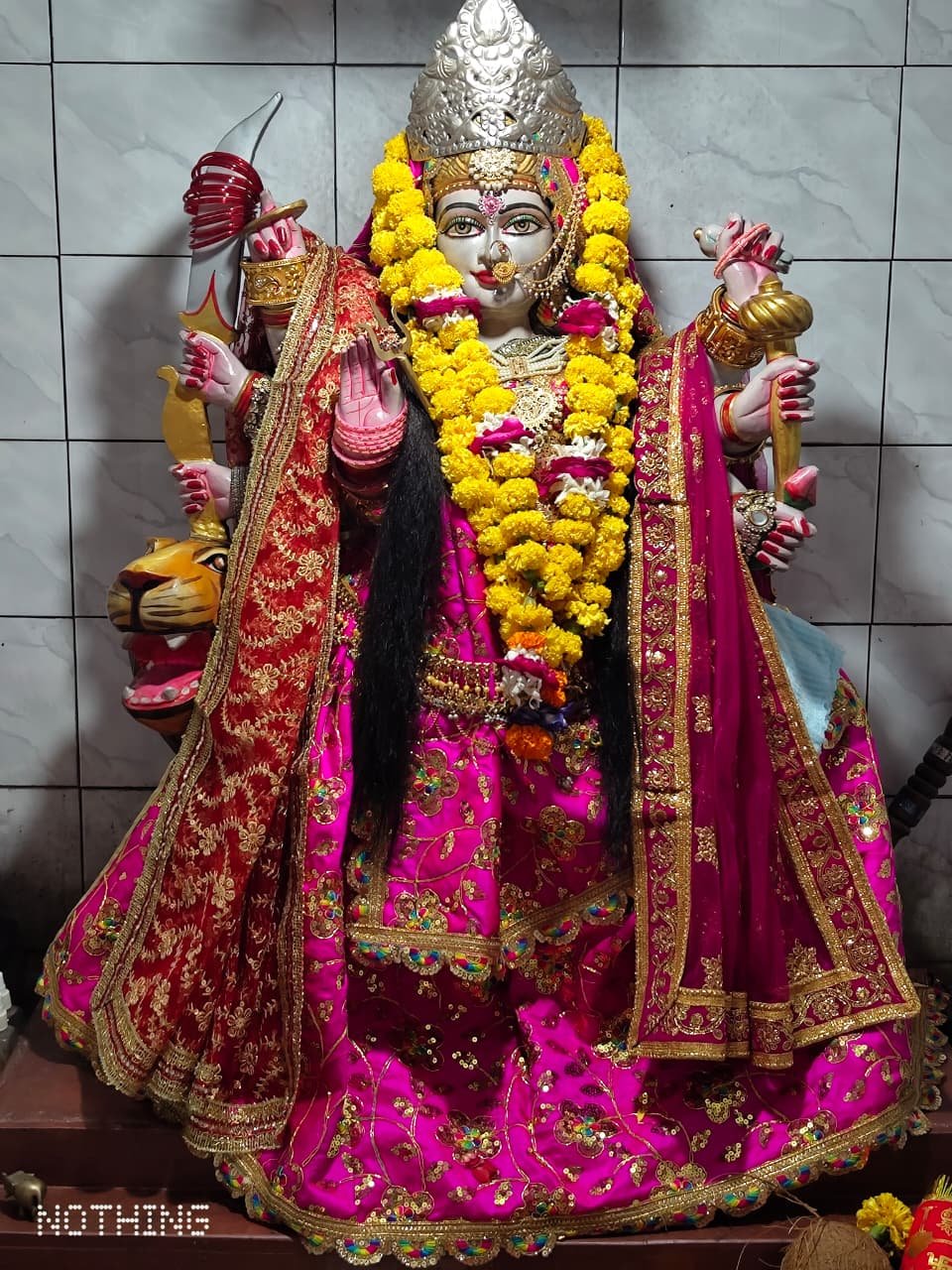 नवरात्रि पर भक्तिमय रहा रमईपुर का ब्रह्मदेव सरकार आश्रम