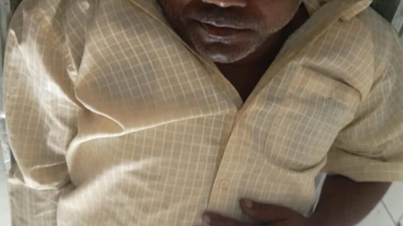 हरबसपुर में फिर हादसा, गड्ढा बचाने में ओमनी ऑटो से टकराई