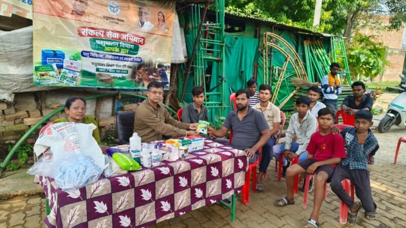 मगरासा में पशु चिकित्सा एवं टीकाकरण शिविर, 42 पशुपालकों को मिली दवाएं