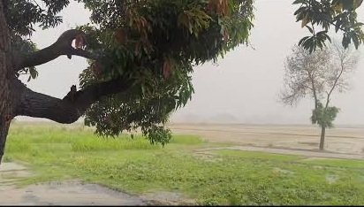 कानपुर में झमाझम बारिश से बदला मौसम, ठंडी हवाओं से गिरेगा पारा