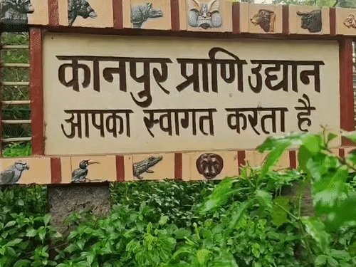 कानपुर जू में वन्यजीवों की मौत का सिलसिला जारी, मादा जेब्रा ने मृत बच्चे को दिया जन्म